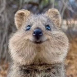 Meet your Posher, Drew